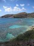 hawaii2010.jpg