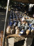 yomitan2008_3.jpg